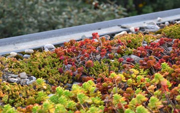 the cost of Starbeck green roof installation