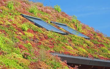 Starbeck living roof systems