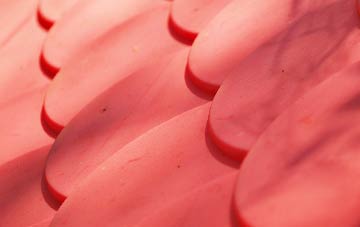 Starbeck plastic roof costs