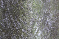 Starbeck fibreglass roof work